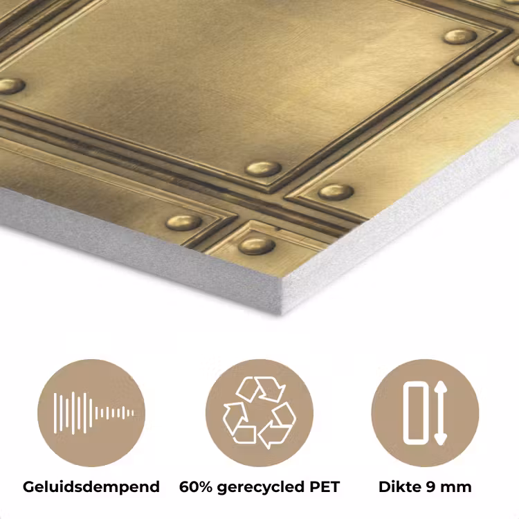 Platen - Industrieel - Stoer - Goud PET vilt klein 837 -closeup_NL