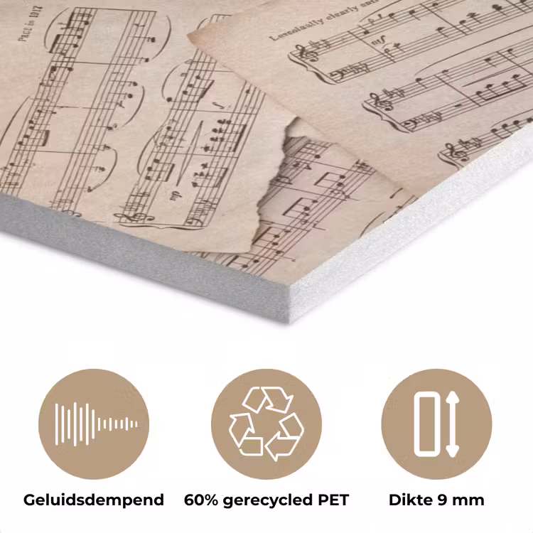 Bladmuziek - Oud - Noten - Vintage - Beige PET vilt klein -closeup_NL