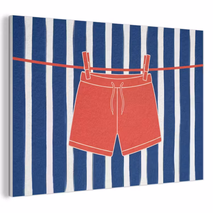 Shorts - Waslijn - Zomer - Illustratie - Rood PET vilt klein -3d