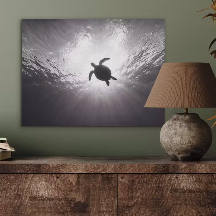 Schildpad - Onderwater - Lichtstralen - Oceaan - Zwart-wit PET vilt klein -sfeer2