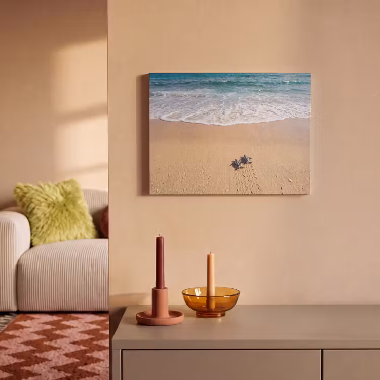 Schildpad - Jong - Strand - Oceaan - Blauw PET vilt klein -sfeer1