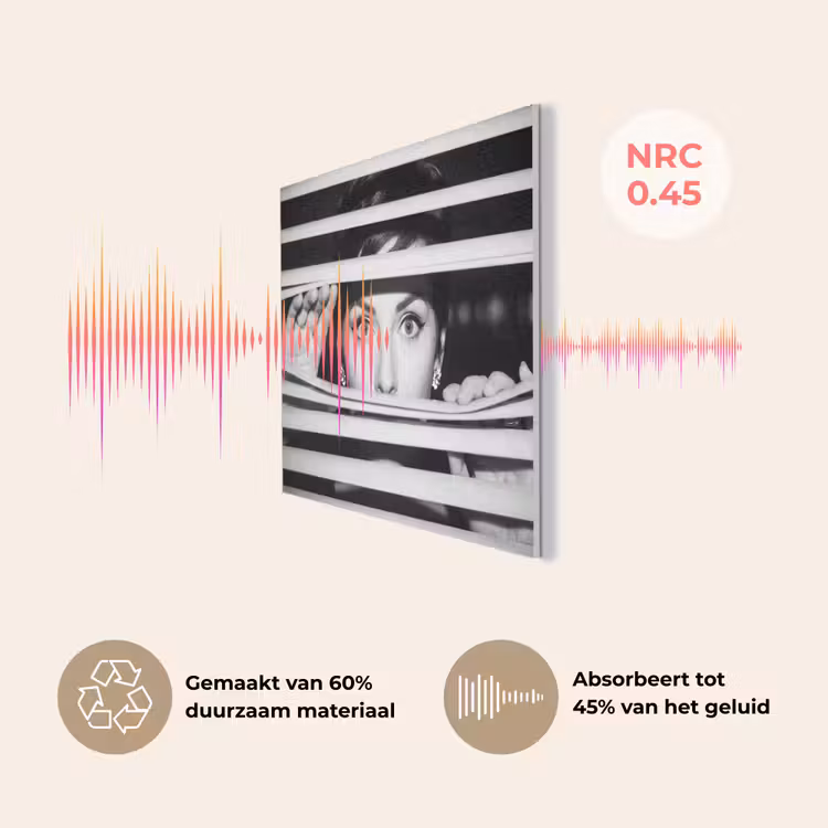 Vrouw - Jaloezieƫn - Portret - Zwart-wit PET vilt klein -USP_NL