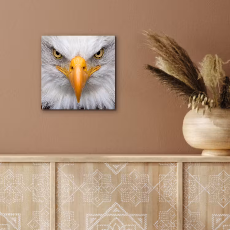 Amerikaans - Zeearend - Portret - Geel aluminium wit klein -sfeer4