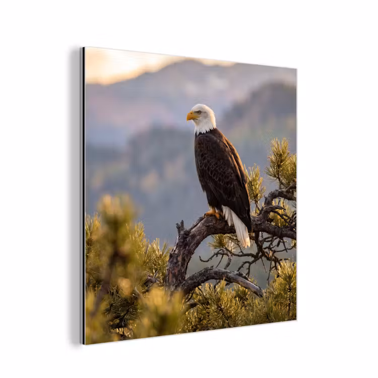 Zeearend - Boom - Bergen - Groen aluminium wit klein -3d