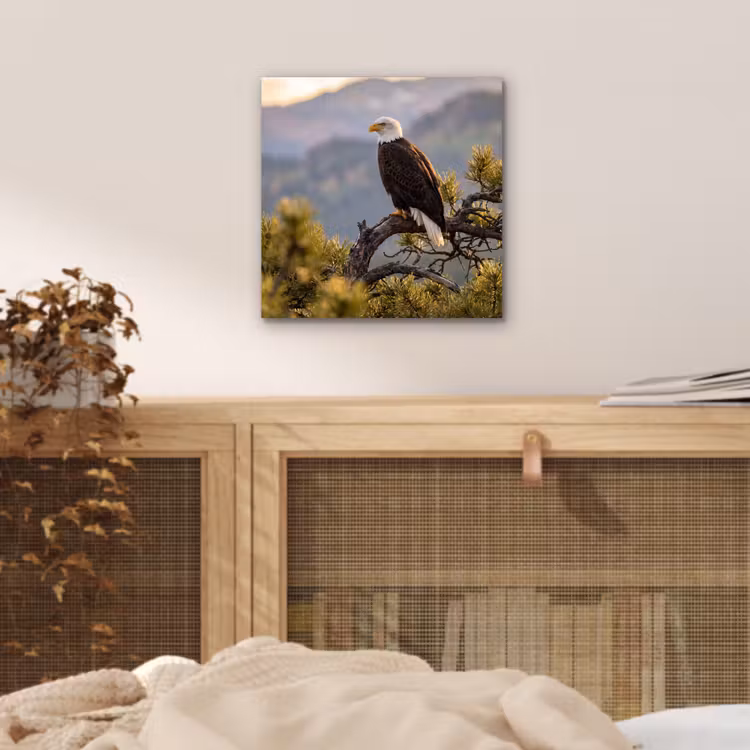 Zeearend - Boom - Bergen - Groen aluminium wit klein -sfeer3