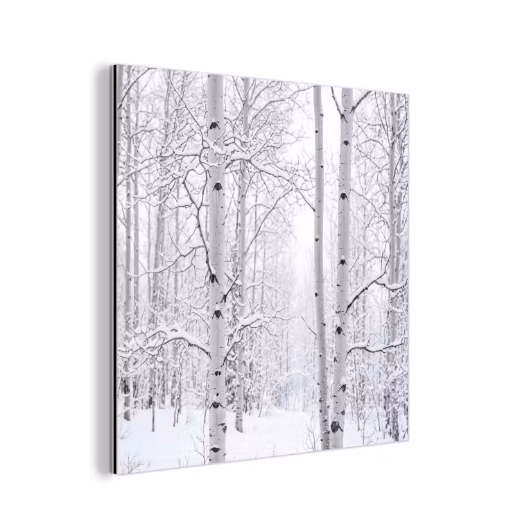 Berkenbomen - Sneeuw - Winter - Bos - Wit aluminium wit klein -3d