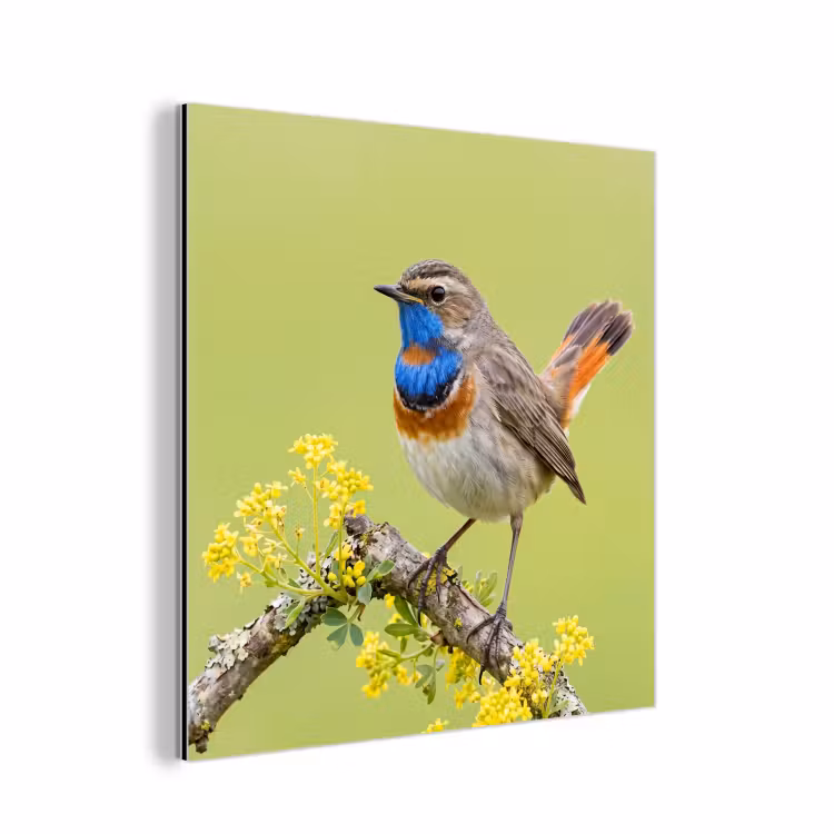 Vogel - Tak - Natuur - Kleurrijk aluminium wit klein -3d