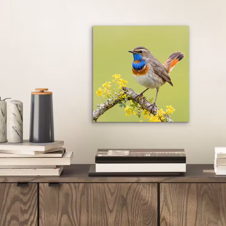 Vogel - Tak - Natuur - Kleurrijk aluminium wit klein -sfeer1