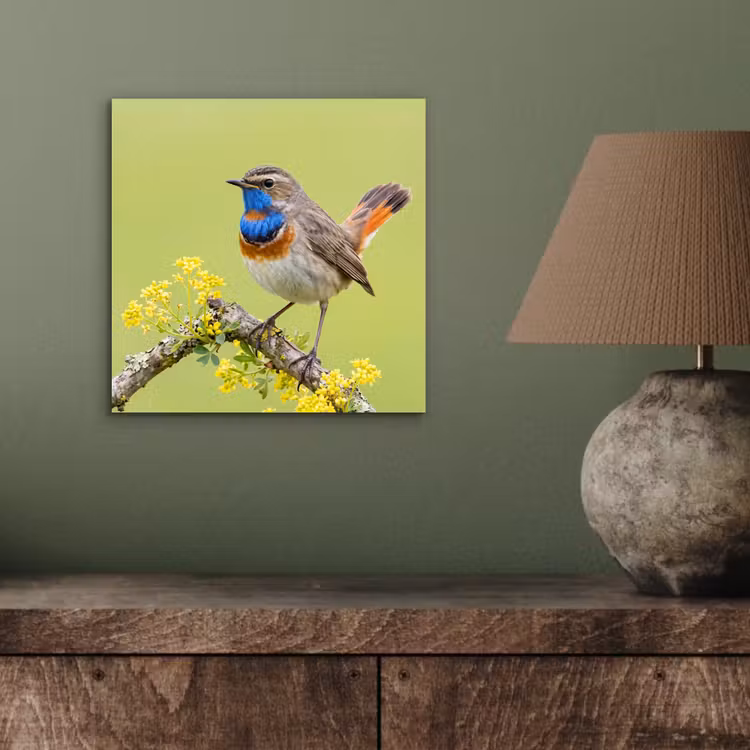 Vogel - Tak - Natuur - Kleurrijk aluminium wit klein -sfeer2