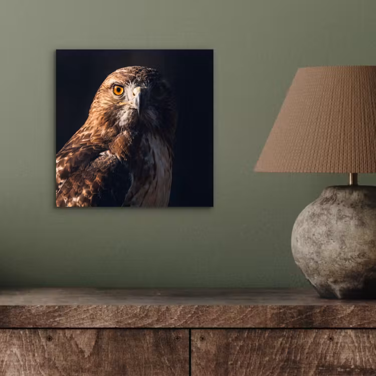 Roofvogel - Buizerd - Bruin aluminium wit klein -sfeer2