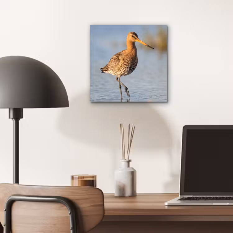Vogel - Steltloper - Water - Natuur aluminium wit klein -sfeer5