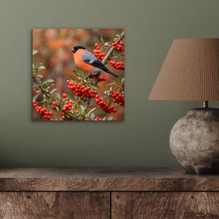 Goudvink - Bessen - Herfst - Natuur - Kleurrijk aluminium wit klein -sfeer2