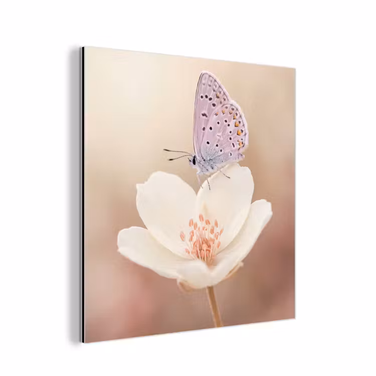 Vlinder - Bloem - Blauw aluminium wit klein -3d