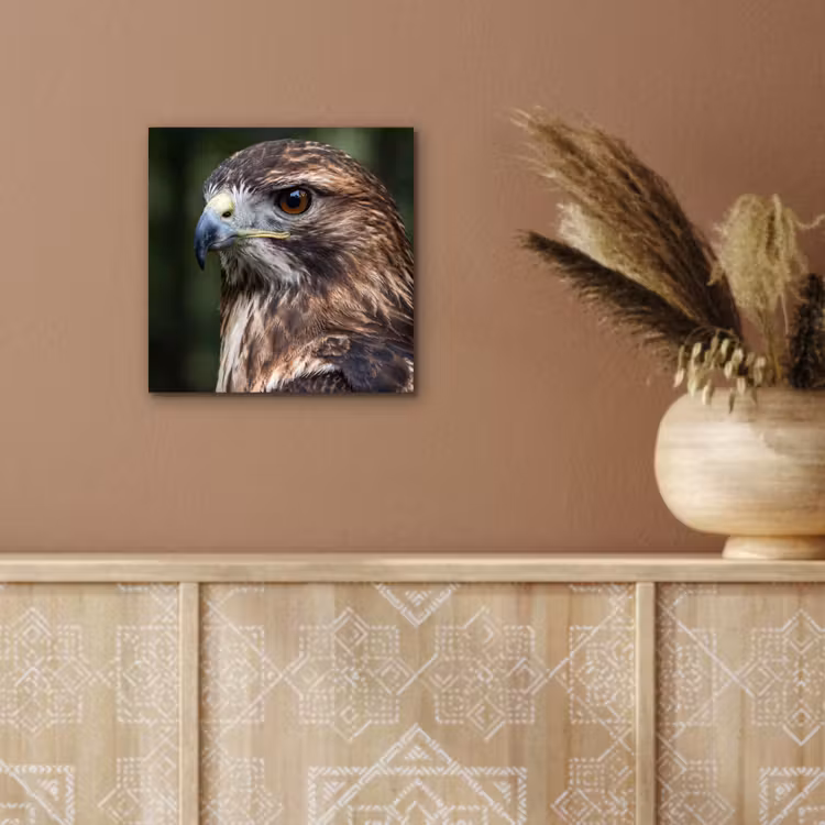 Buizerd - Roofvogel - Natuur - Bruin aluminium wit klein -sfeer4