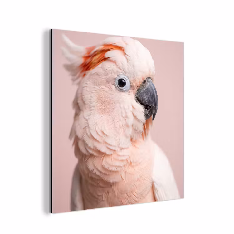 Kaketoe - Portret - Roze aluminium wit klein -3d
