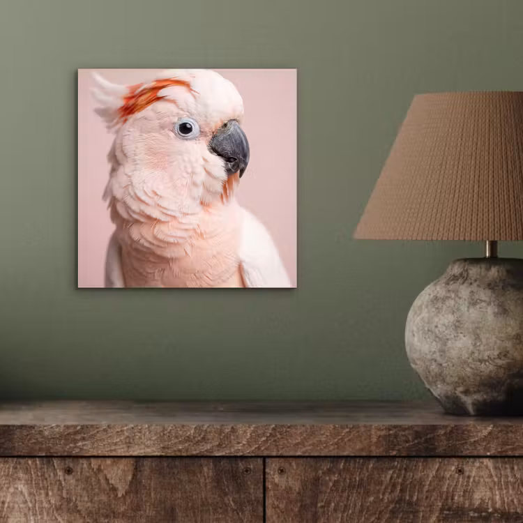 Kaketoe - Portret - Roze aluminium wit klein -sfeer2