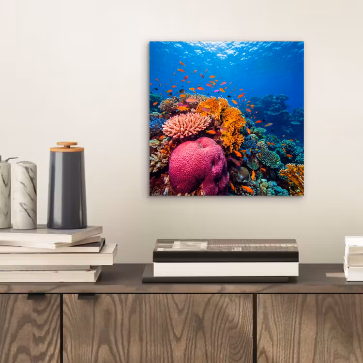 Koraal - Vissen - Oceaan - Natuur - Kleurrijk aluminium wit klein -sfeer1
