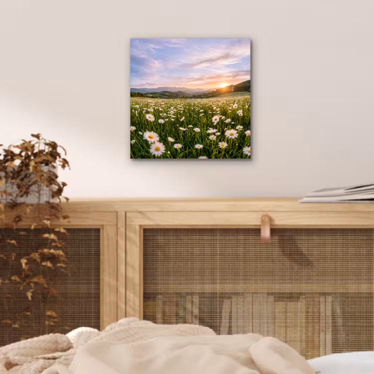 Madelief - Veld - Heuvels - Groen aluminium wit klein -sfeer3