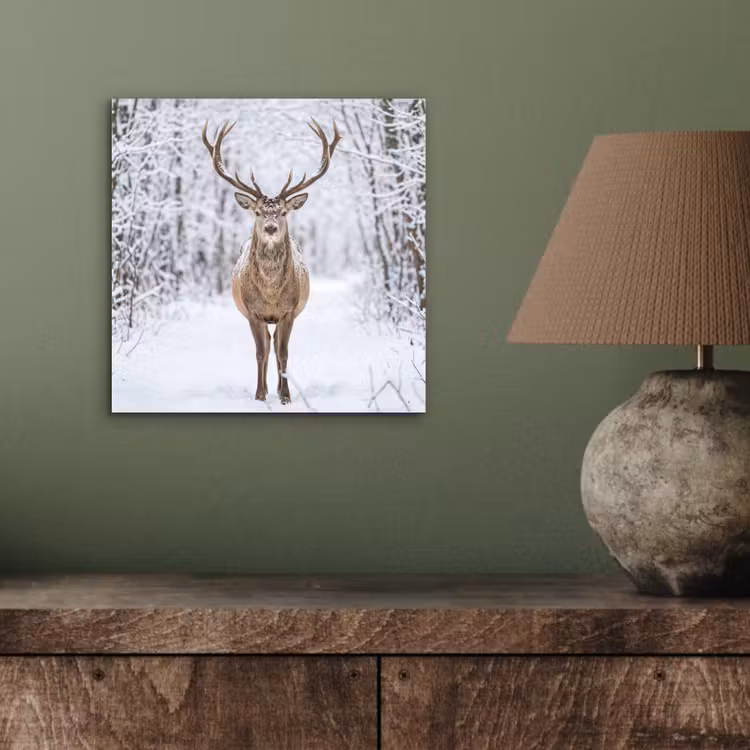 Hert - Winter - Bos - Natuur - Wit aluminium wit klein -sfeer2