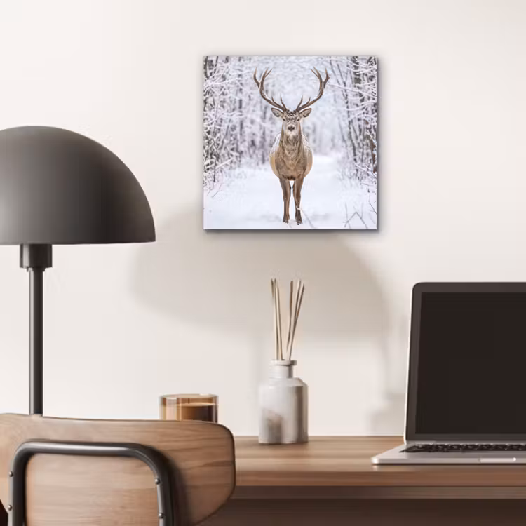 Hert - Winter - Bos - Natuur - Wit aluminium wit klein -sfeer5
