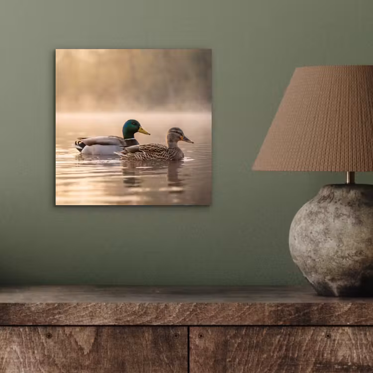 Eenden - Water - Mist - Natuur aluminium wit klein -sfeer2