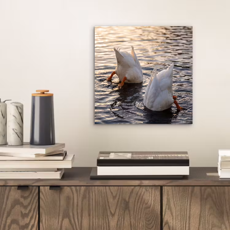 Eenden - Water - Natuur aluminium wit klein -sfeer1