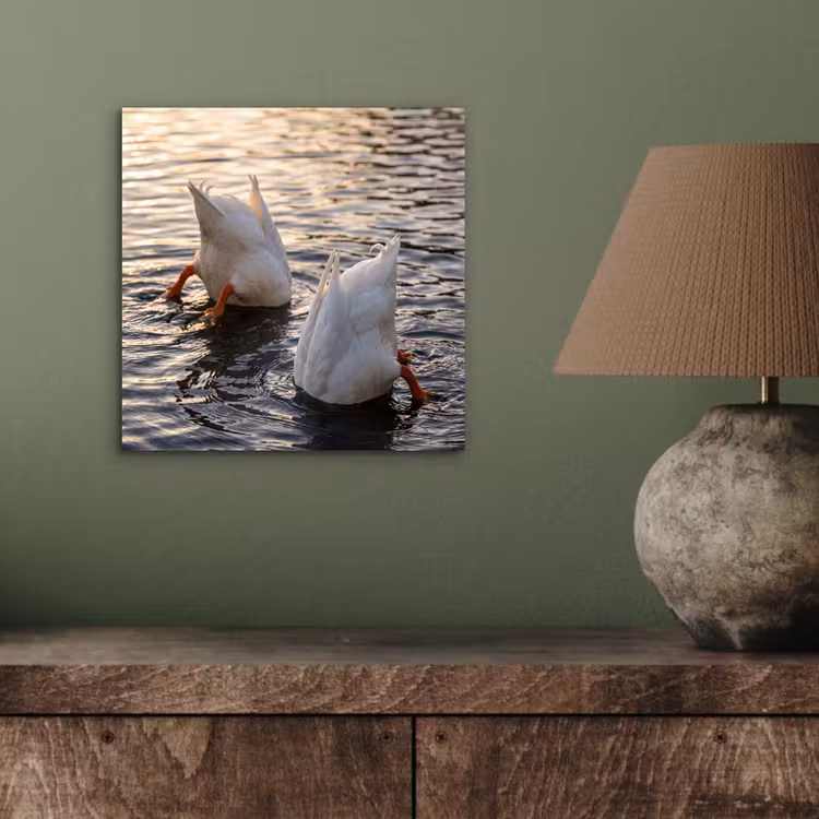 Eenden - Water - Natuur aluminium wit klein -sfeer2