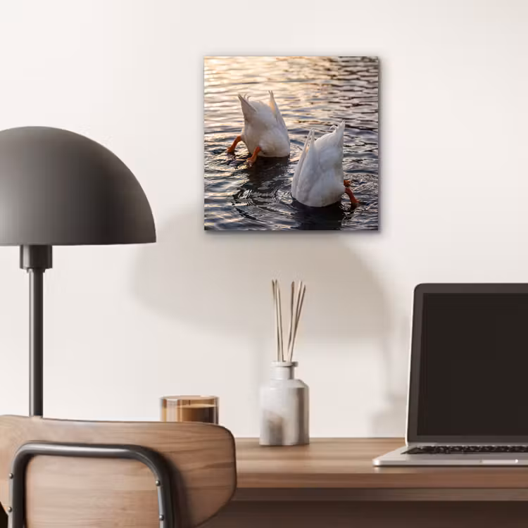 Eenden - Water - Natuur aluminium wit klein -sfeer5