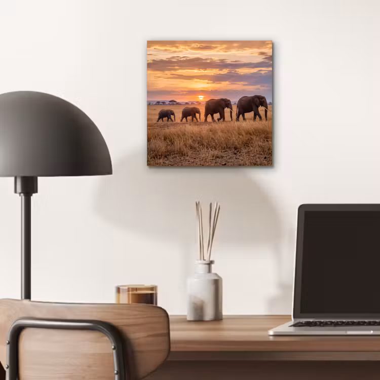 Olifanten - Savanne - Zonsondergang - Afrika - Warm aluminium wit klein -sfeer5