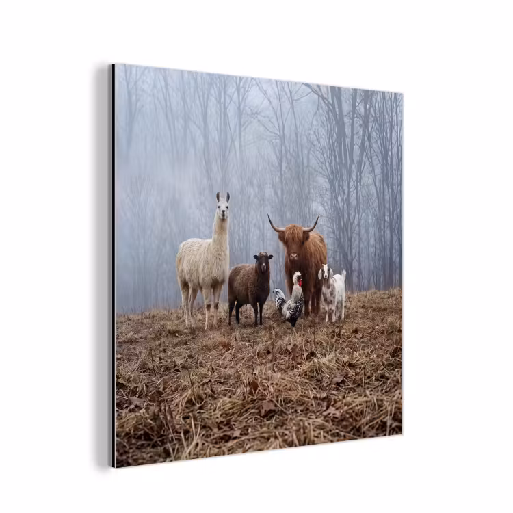 Boerderijdieren - Groep - Mist - Natuur - Rustiek aluminium wit klein -3d