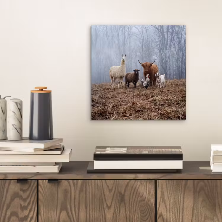 Boerderijdieren - Groep - Mist - Natuur - Rustiek aluminium wit klein -sfeer1