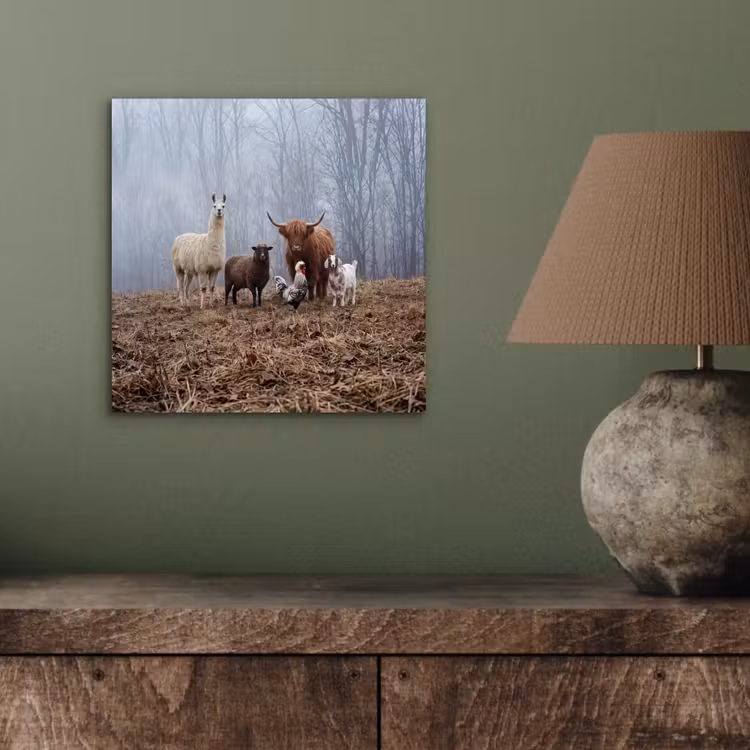 Boerderijdieren - Groep - Mist - Natuur - Rustiek aluminium wit klein -sfeer2