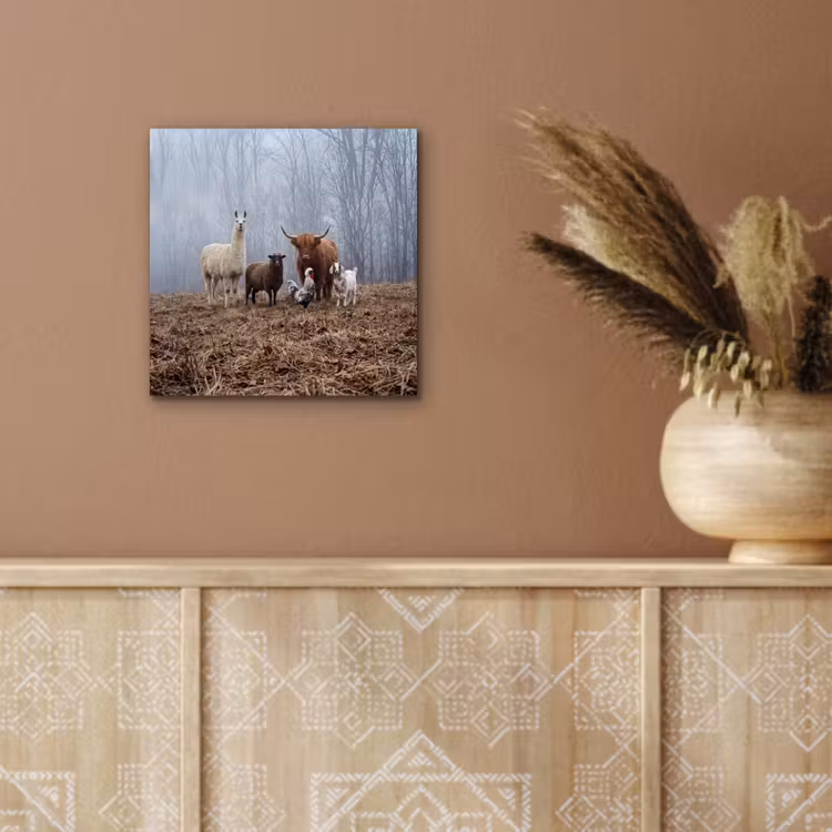 Boerderijdieren - Groep - Mist - Natuur - Rustiek aluminium wit klein -sfeer4