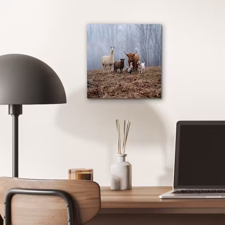 Boerderijdieren - Groep - Mist - Natuur - Rustiek aluminium wit klein -sfeer5
