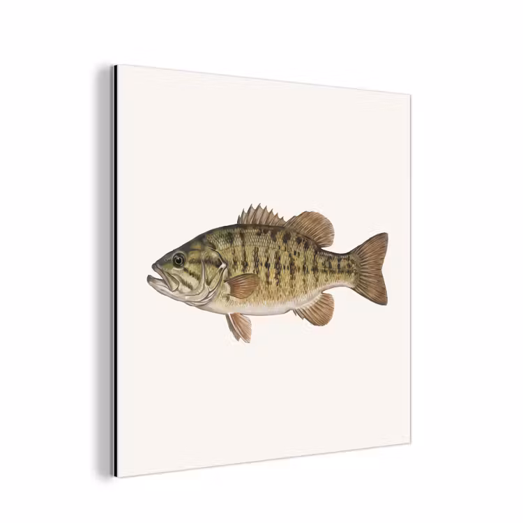 Vissen - Natuur - Vintage aluminium wit klein -3d