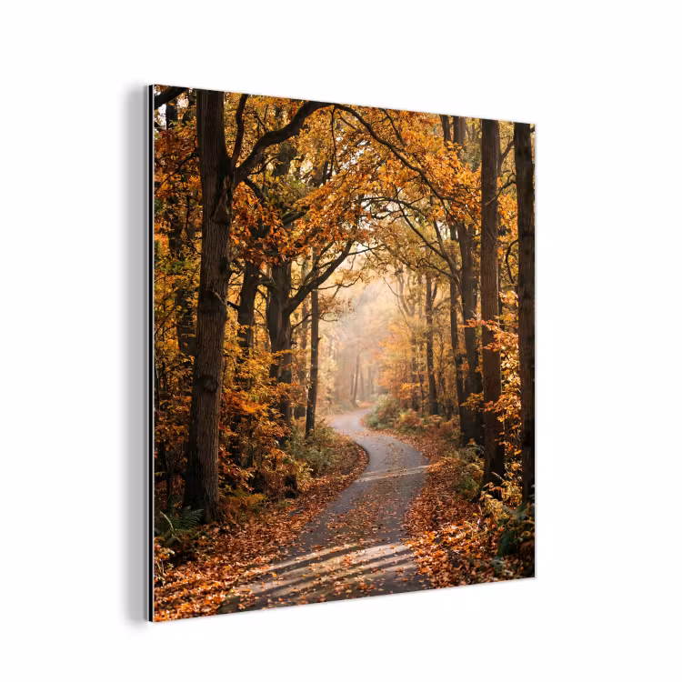 Bospad - Herfstbos - Bladeren - Oranje - Nostalgisch aluminium wit klein -3d
