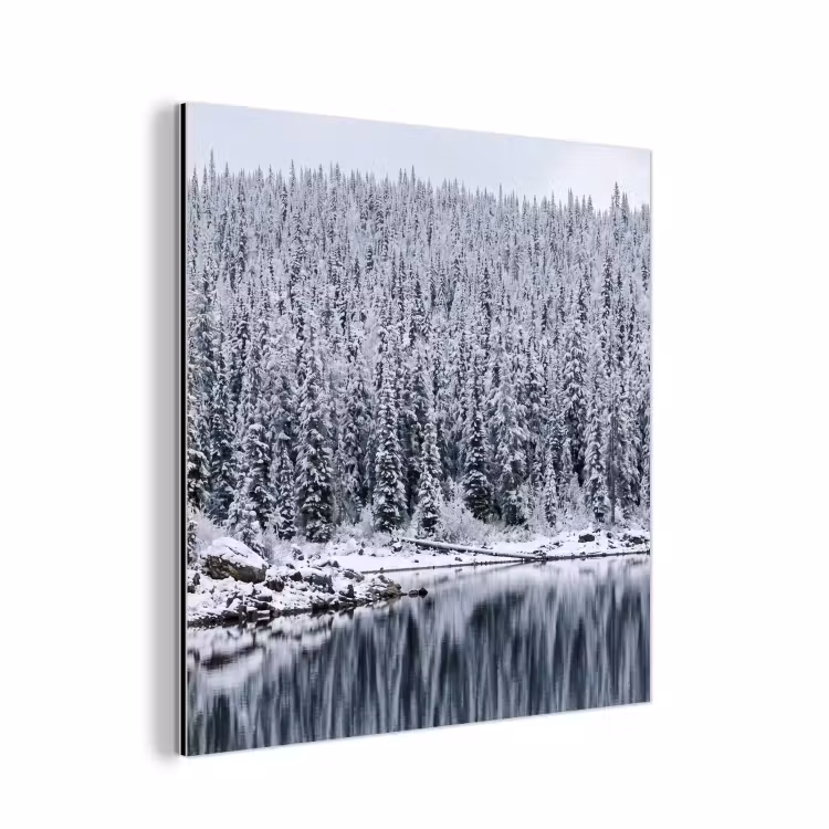 Bos - Reflectie - Meer - Winter - Serene aluminium wit klein -3d