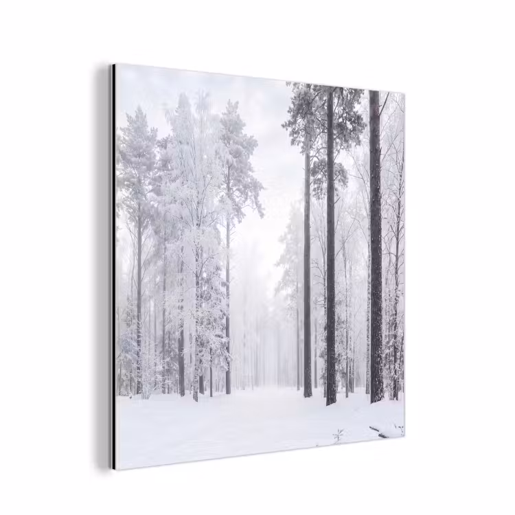 Bos - Sneeuw - Pad - Winter - Stilte aluminium wit klein -3d