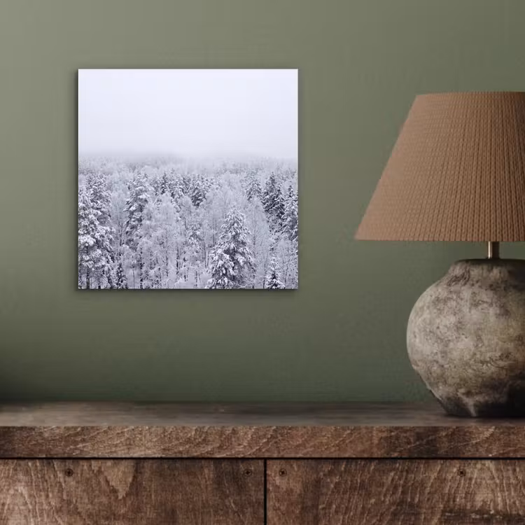 Bos - Sneeuw - Winter - Natuur - Wit aluminium wit klein -sfeer2