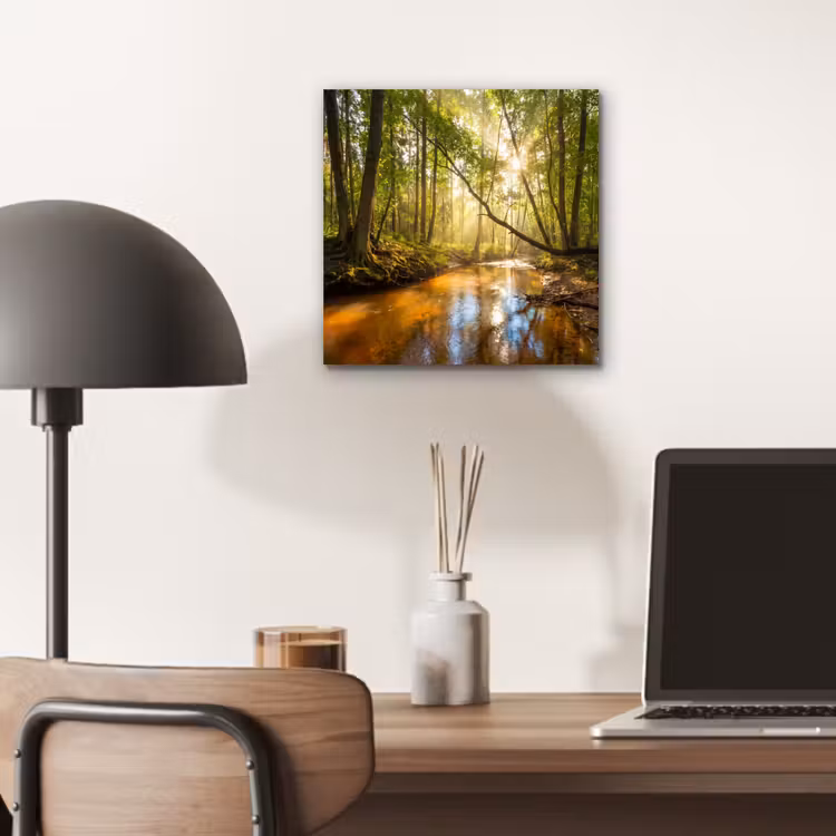 Bos - Beek - Zonlicht - Natuur - Groen aluminium wit klein -sfeer5