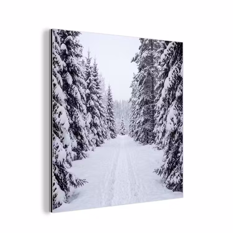 Bos - Winter - Sneeuw - Pad - Natuur aluminium wit klein -3d