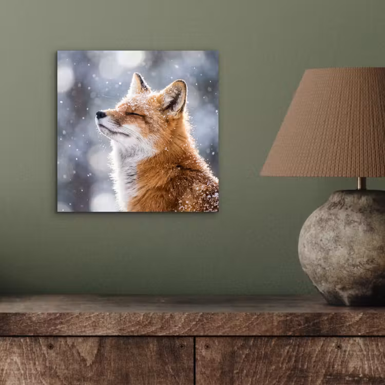 Vos - Sneeuwval - Portret - Winter - Sfeervol aluminium wit klein -sfeer2