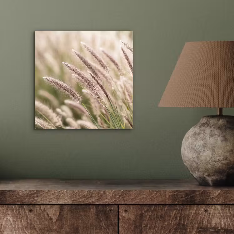 Gras - Close up - Groen aluminium wit klein -sfeer2
