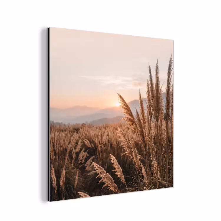 Gras - Veld - Zon - Natuur aluminium wit klein -3d