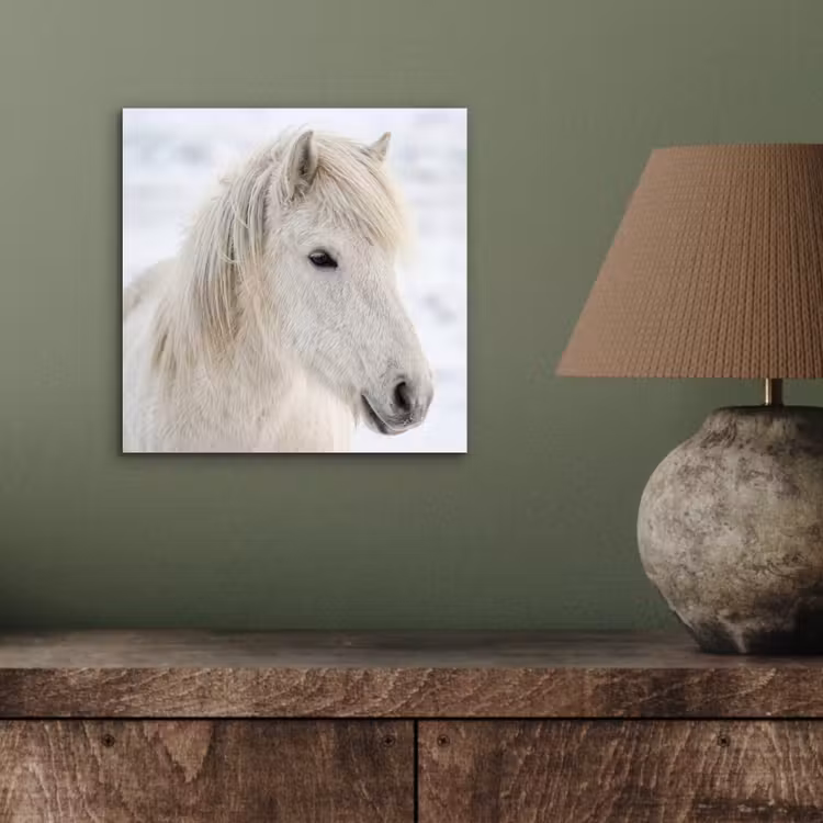 Paard - Kop - Winter - Dieren - Wit aluminium wit klein -sfeer2