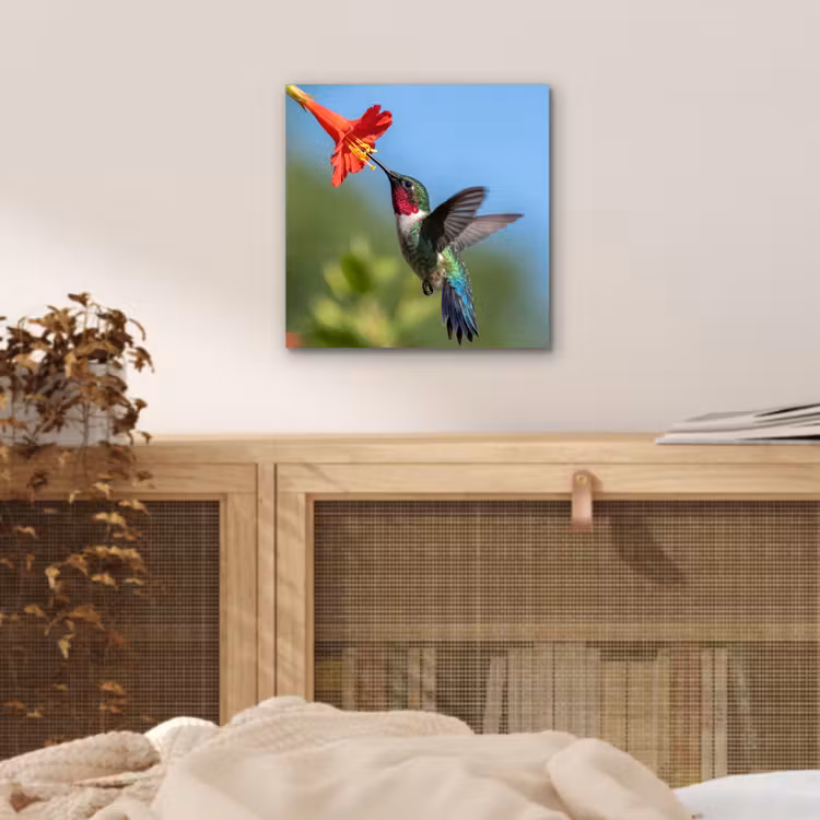 Kolibrie - Bloem - Natuur - Groen aluminium wit klein -sfeer3