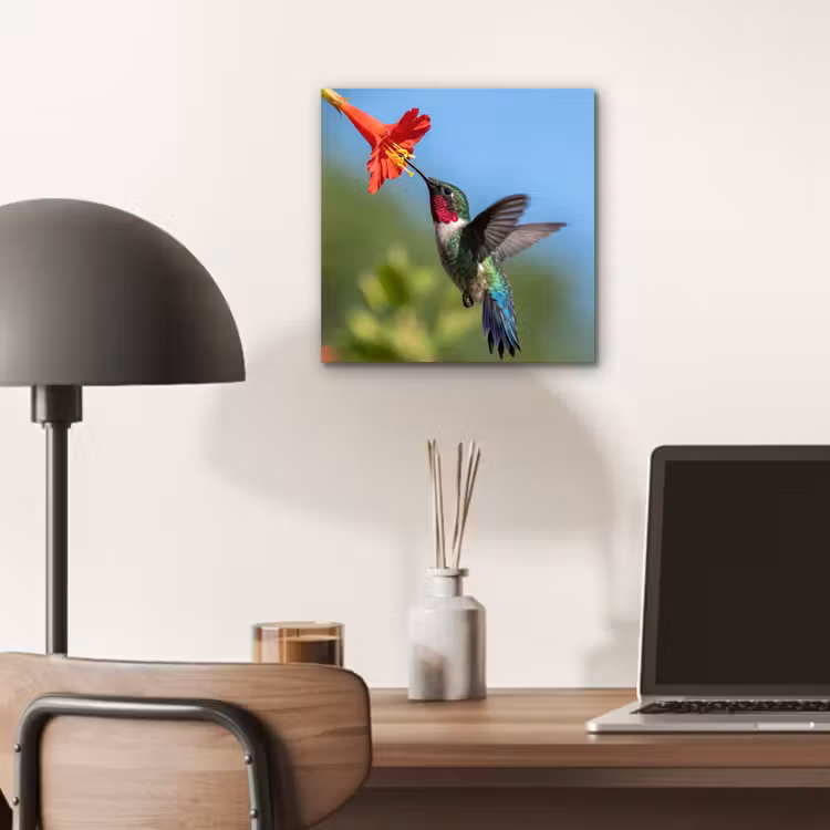 Kolibrie - Bloem - Natuur - Groen aluminium wit klein -sfeer5