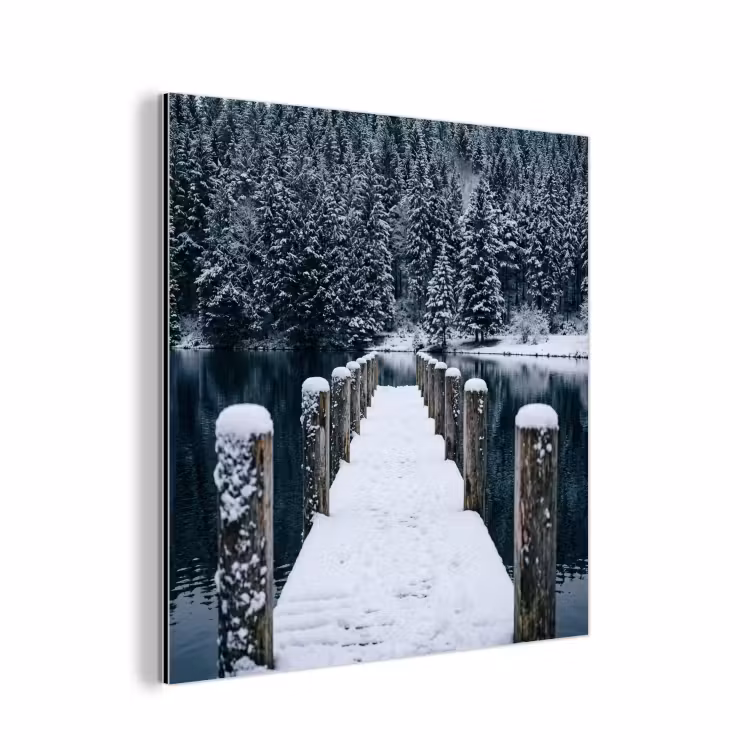 Steiger - Meer - Sneeuw - Bergen - Rustgevend aluminium wit klein -3d