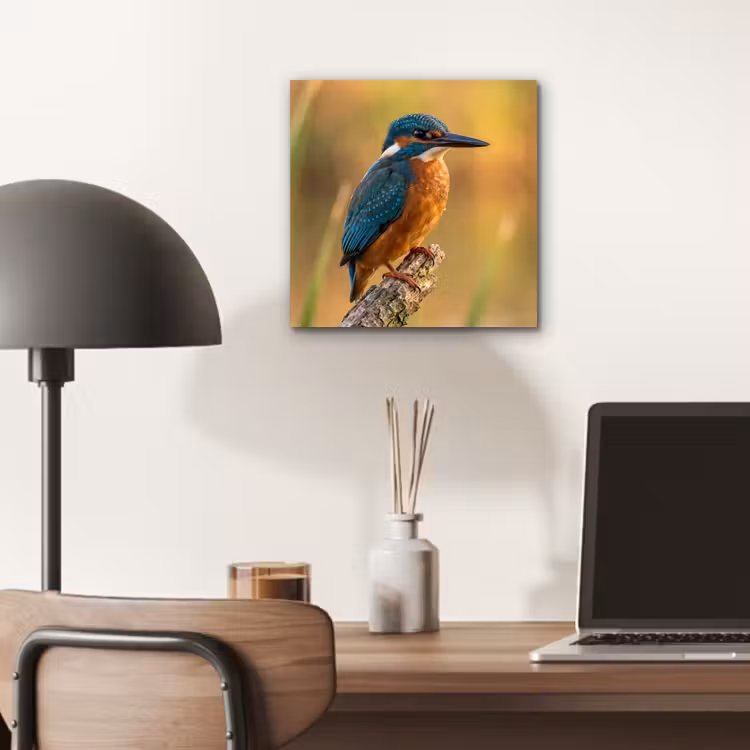 IJsvogel - Tak - Water - Kleurrijk - Levendig aluminium wit klein -sfeer5