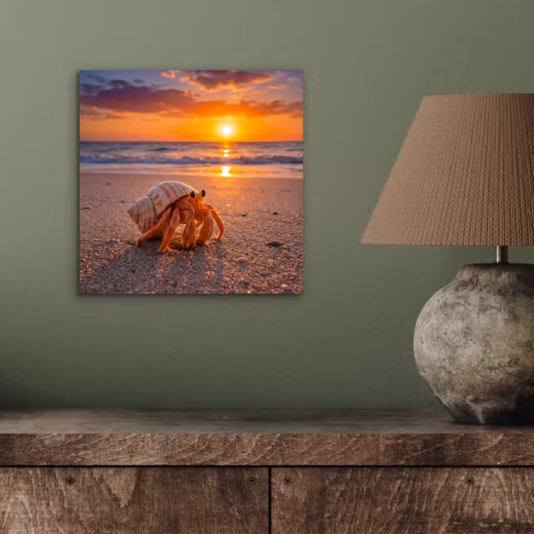 Kreeft - Strand - Natuur - Zonsondergang - Oranje aluminium wit klein -sfeer2
